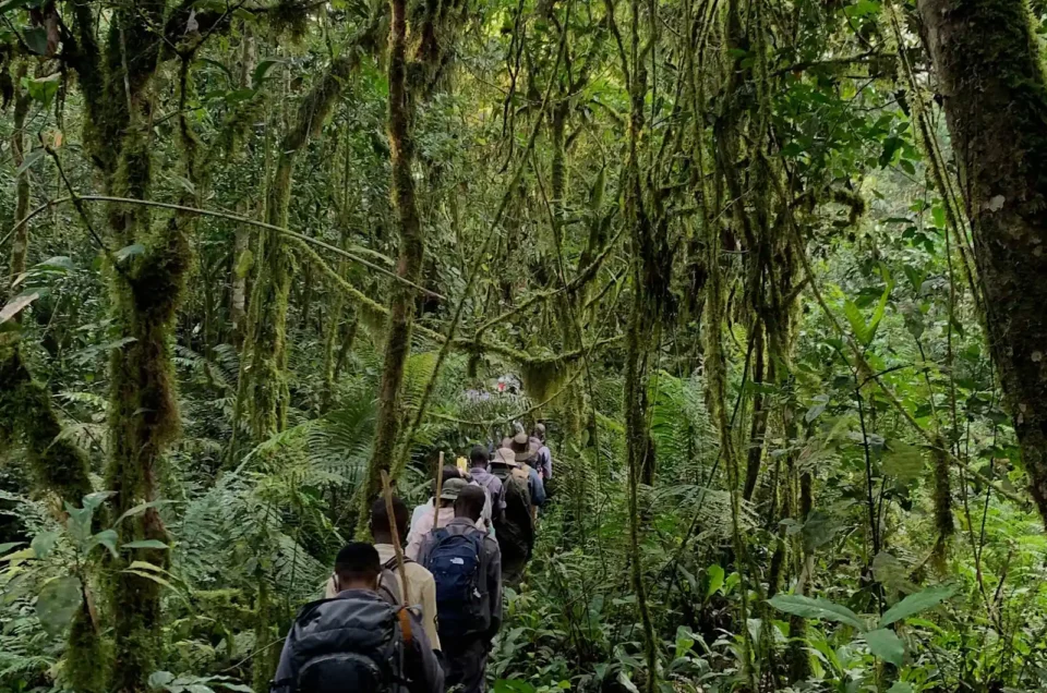 bwindi