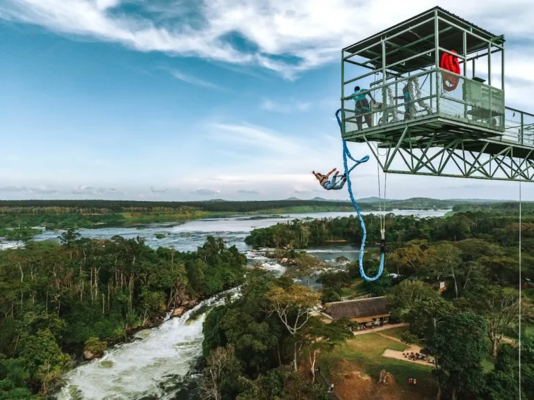 Adrift bungee-0561 (1).webp