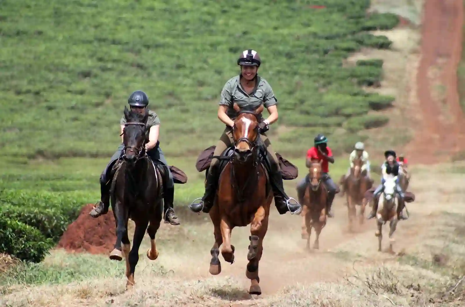Horse-Riding-8-min (1)