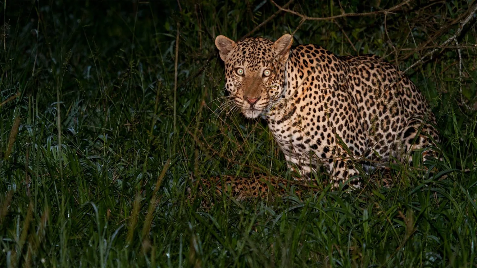 Lake Mburo National Park