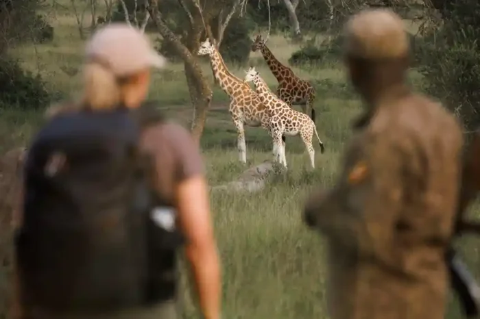 16-Day Uganda Safari – Gorillas, Wildlife, & Shoebills