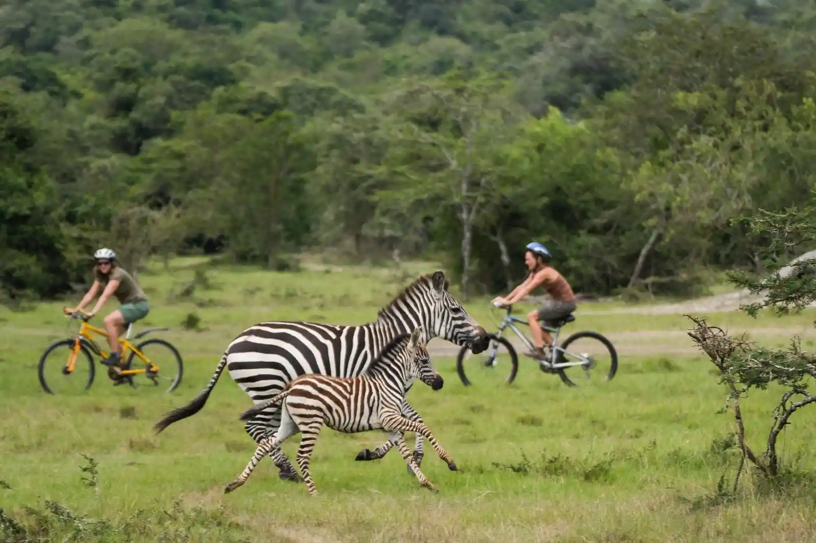 Mountain Biking in Lake Mburo National Park.webp