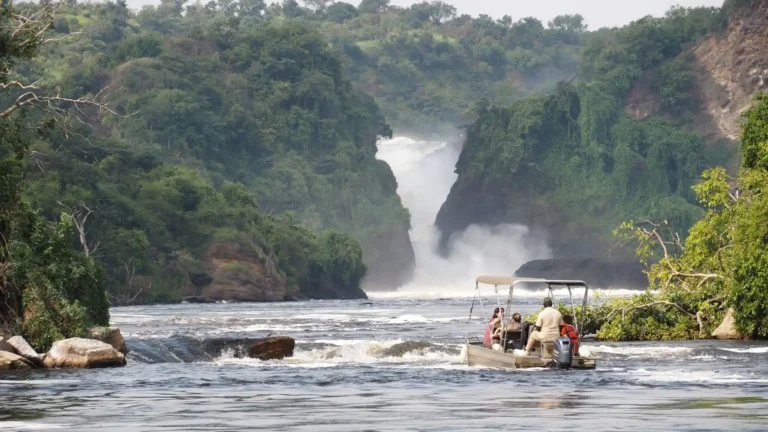 Murchison Falls National Park (3)