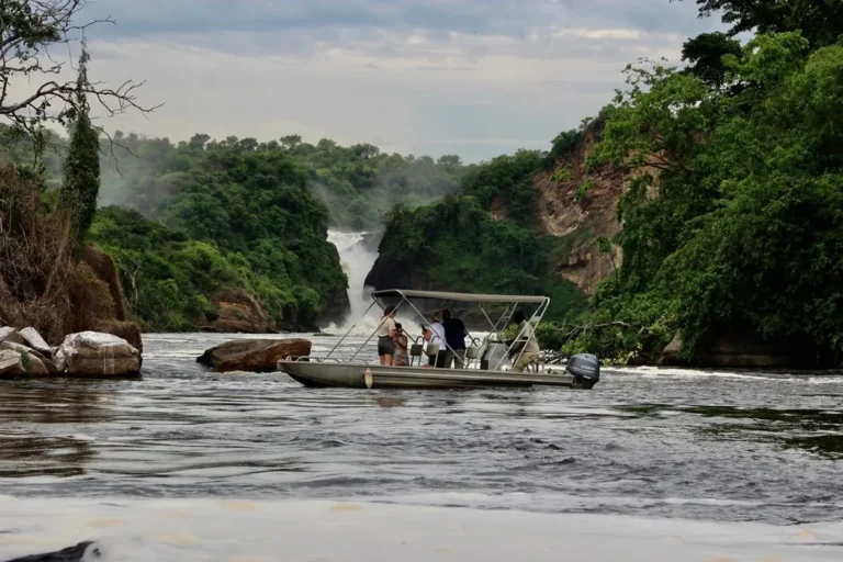 Boat cruise in Murchison Falls National Park