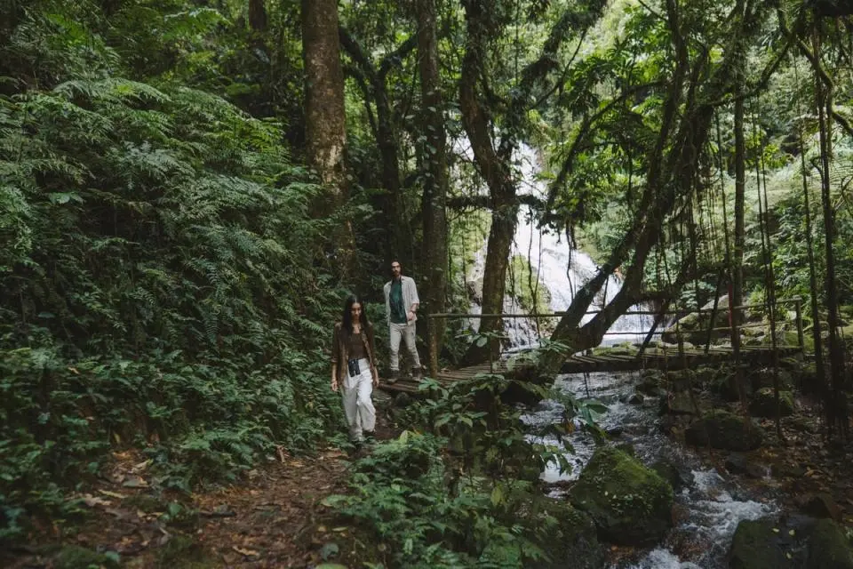 Nature Walk In BWIND