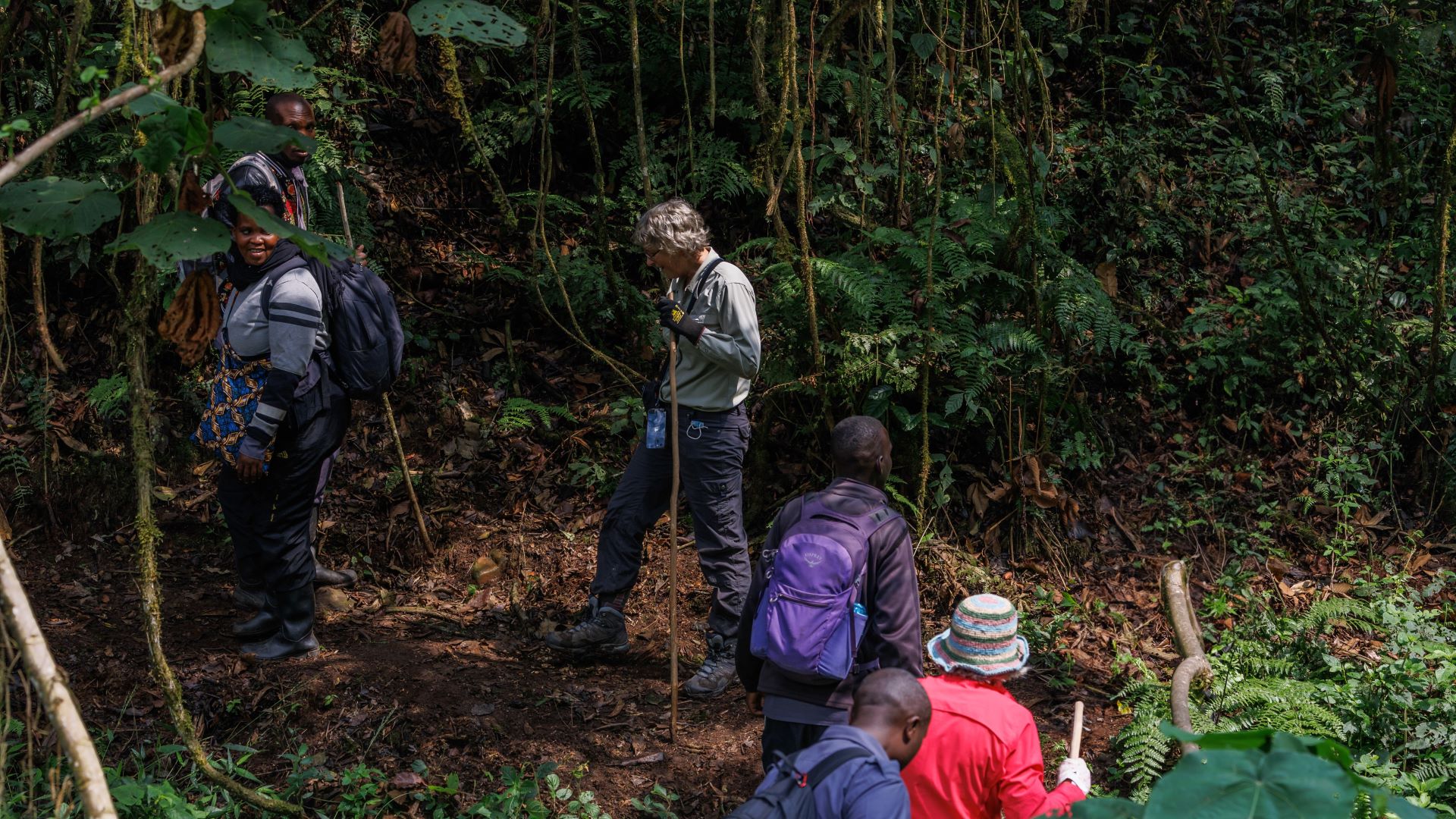 3 Day Gorilla Trekking in Uganda