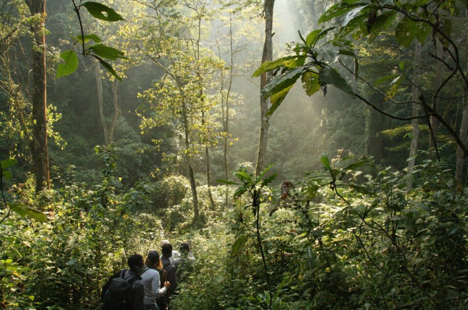 Best Time To Visit Uganda