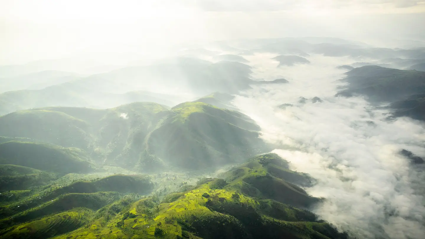 Bwindi Impenetrable Forest choose Uganda safaris