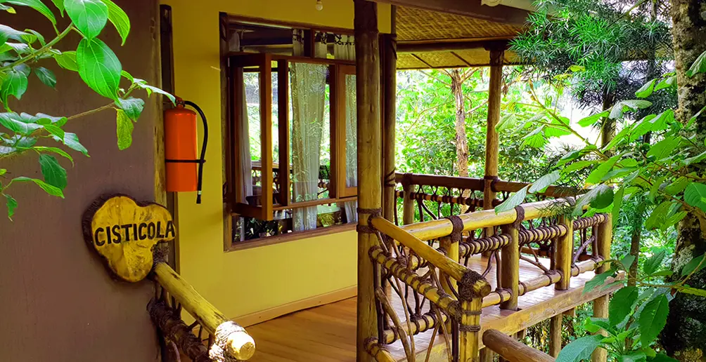 Ichumbi Gorilla Lodge at Bwindi Impenetrable National Park