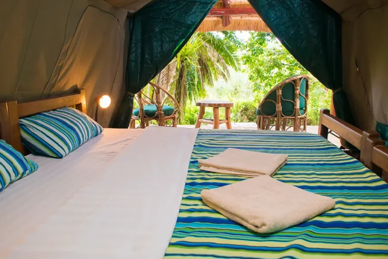 Kibale Forest Camp