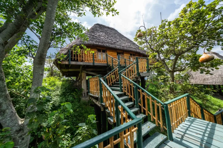 Kyaninga Lodge cottages (1)