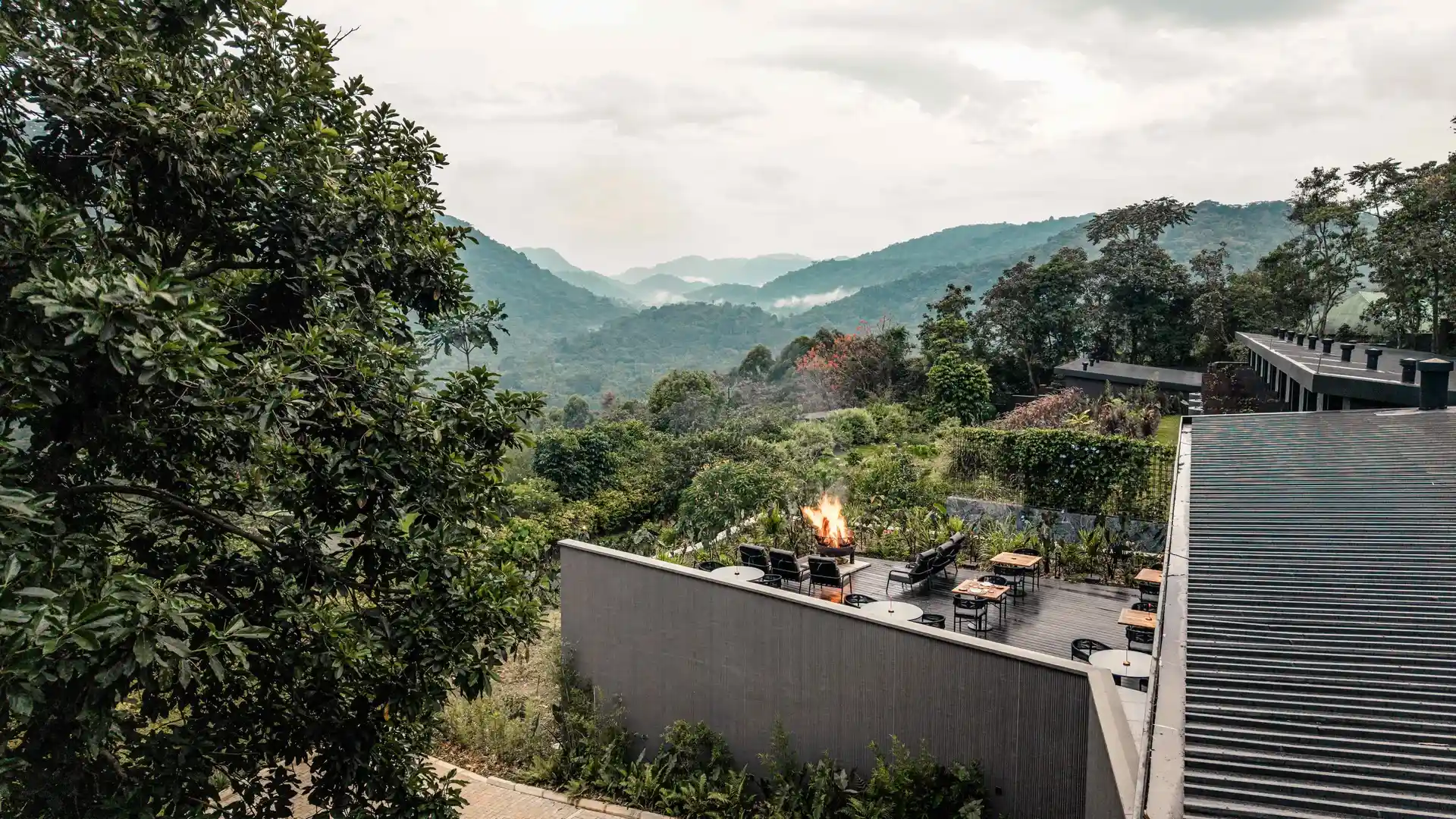 Silverback - Arial View - 1.webp