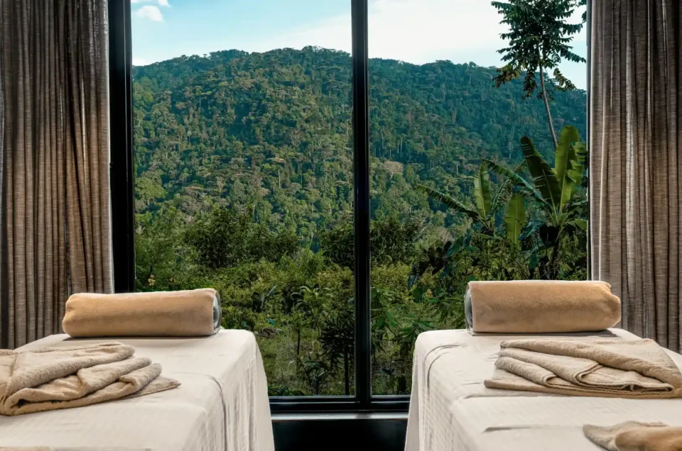 silverback lodge-Silverback - Spa - 6