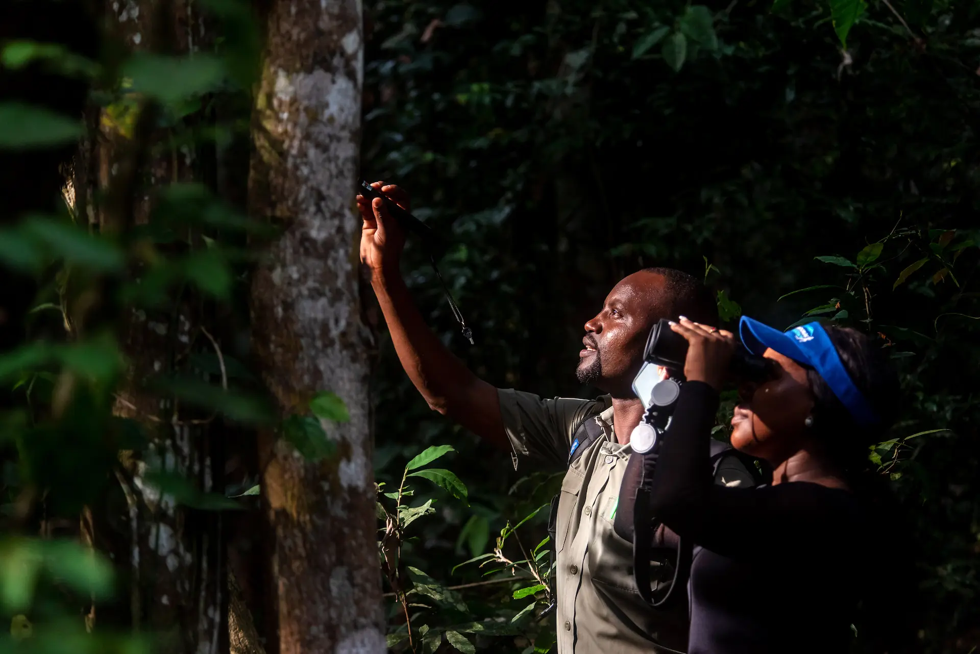 Choose-uganda-safaris-budongo-forest