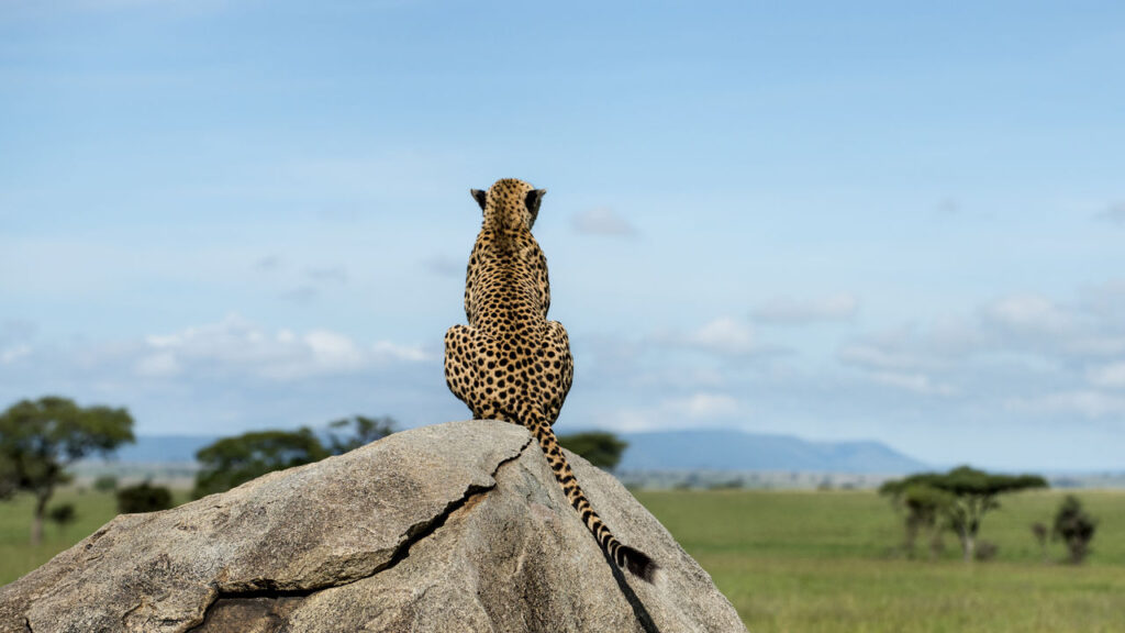 Kidepo Valley National Park