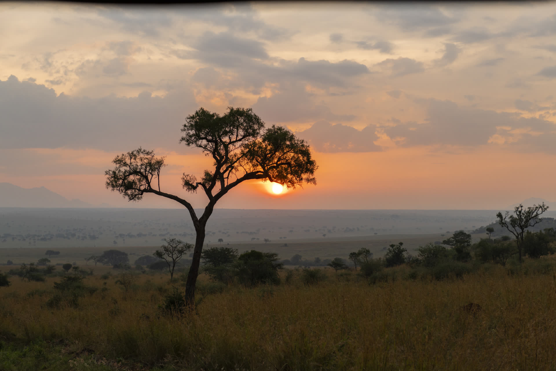 Kidepo Valley National Park.jpg