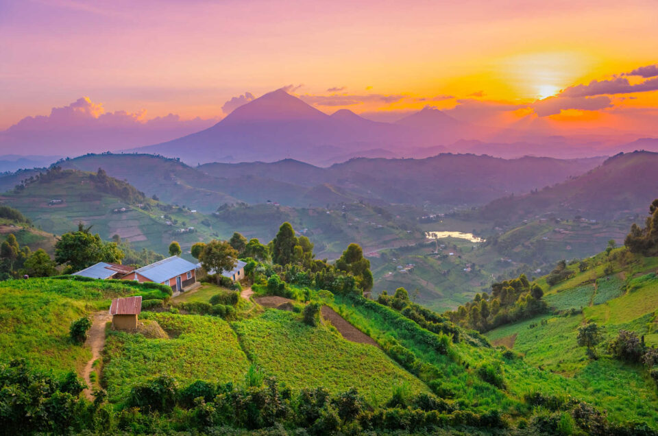 Choose Uganda Safaris