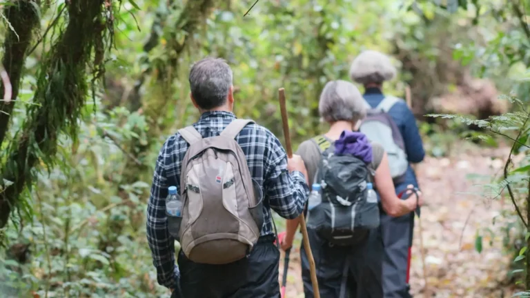 Discover what to pack and wear for your adventure with this Uganda Safari & Gorilla Trekking Packing List—stay comfortable, prepared, and adventure-ready.