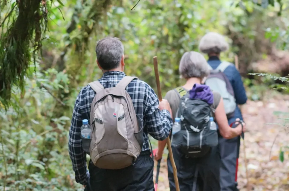 Discover what to pack and wear for your adventure with this Uganda Safari & Gorilla Trekking Packing List—stay comfortable, prepared, and adventure-ready.