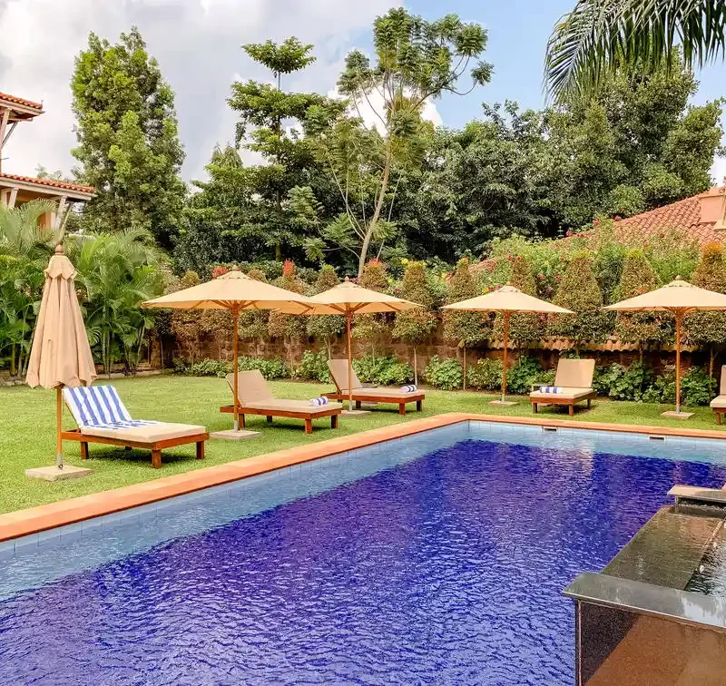 Luxury Uganda Safaris