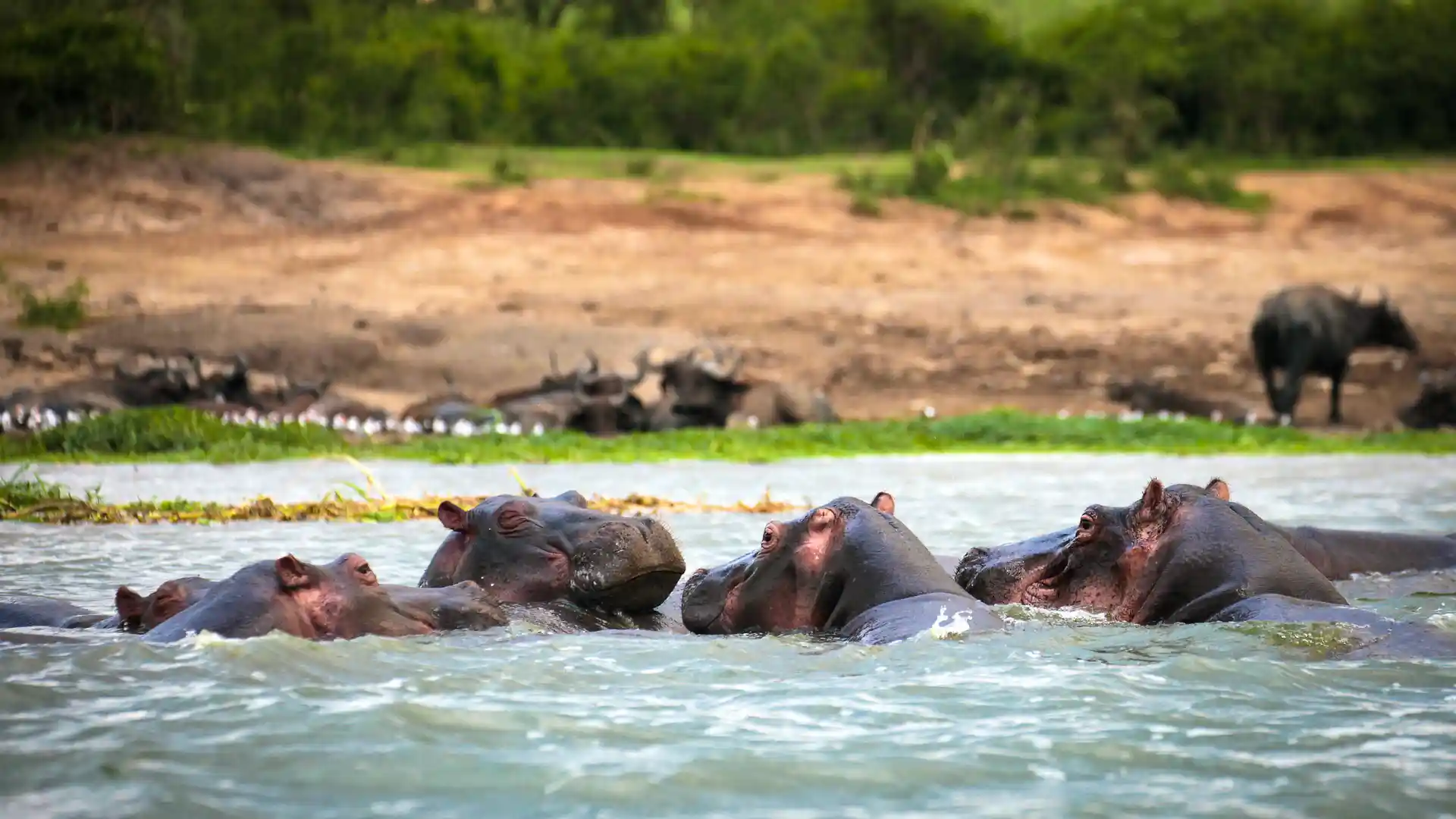 05UQRS-IM1305-the-river-station