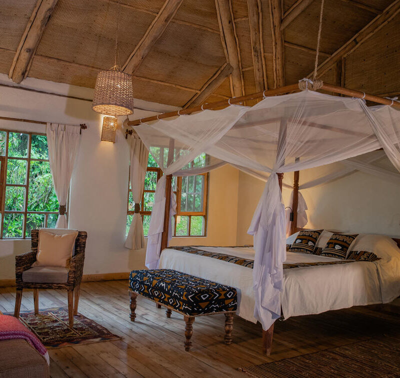 14-bwindi_lodge-standard_room11