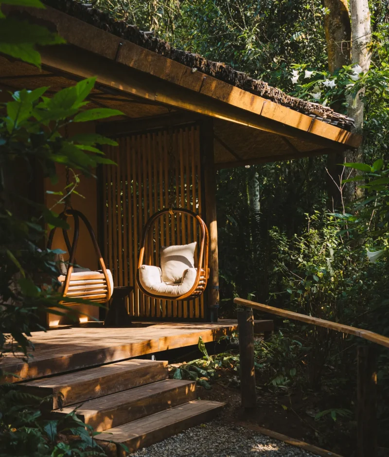 Gorilla Forest Lodge