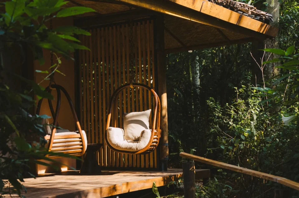 Gorilla Forest Lodge