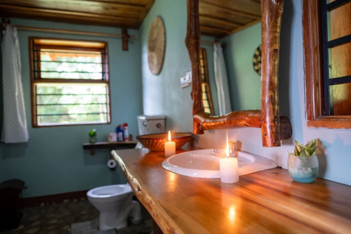 Chimpanzee Forest Lodge