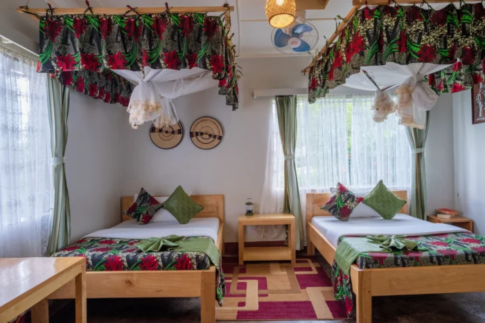 Chimpanzee Forest Lodge