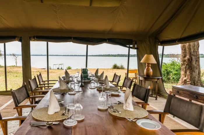 Honey Bear Bush Camp