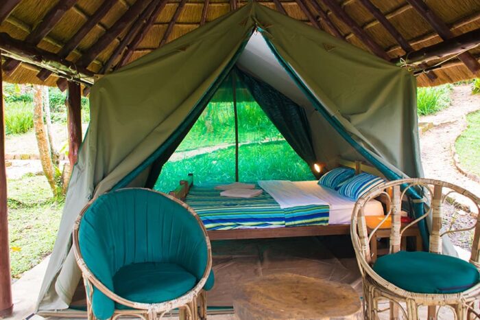 Kibale Forest Camp