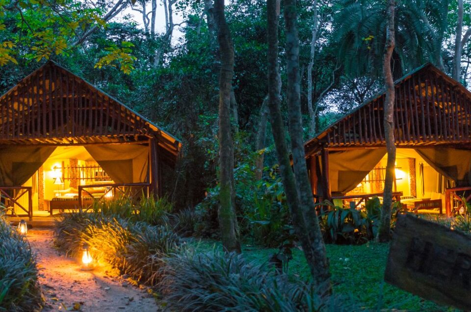 Kibale Forest Camp