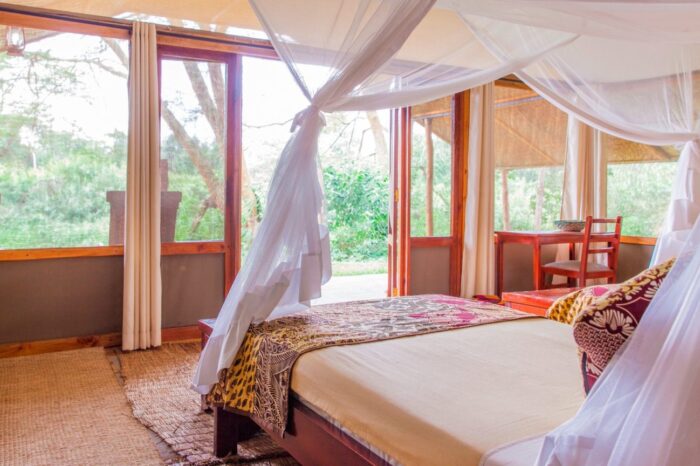 Tents-at-Ishasha-Wilderness-Camp-