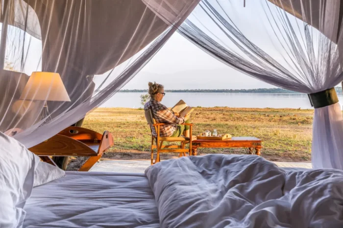 Honey Bear Bush Camp