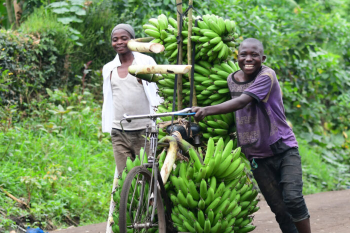 Essential Uganda And Gorilla Trek (9 Days)