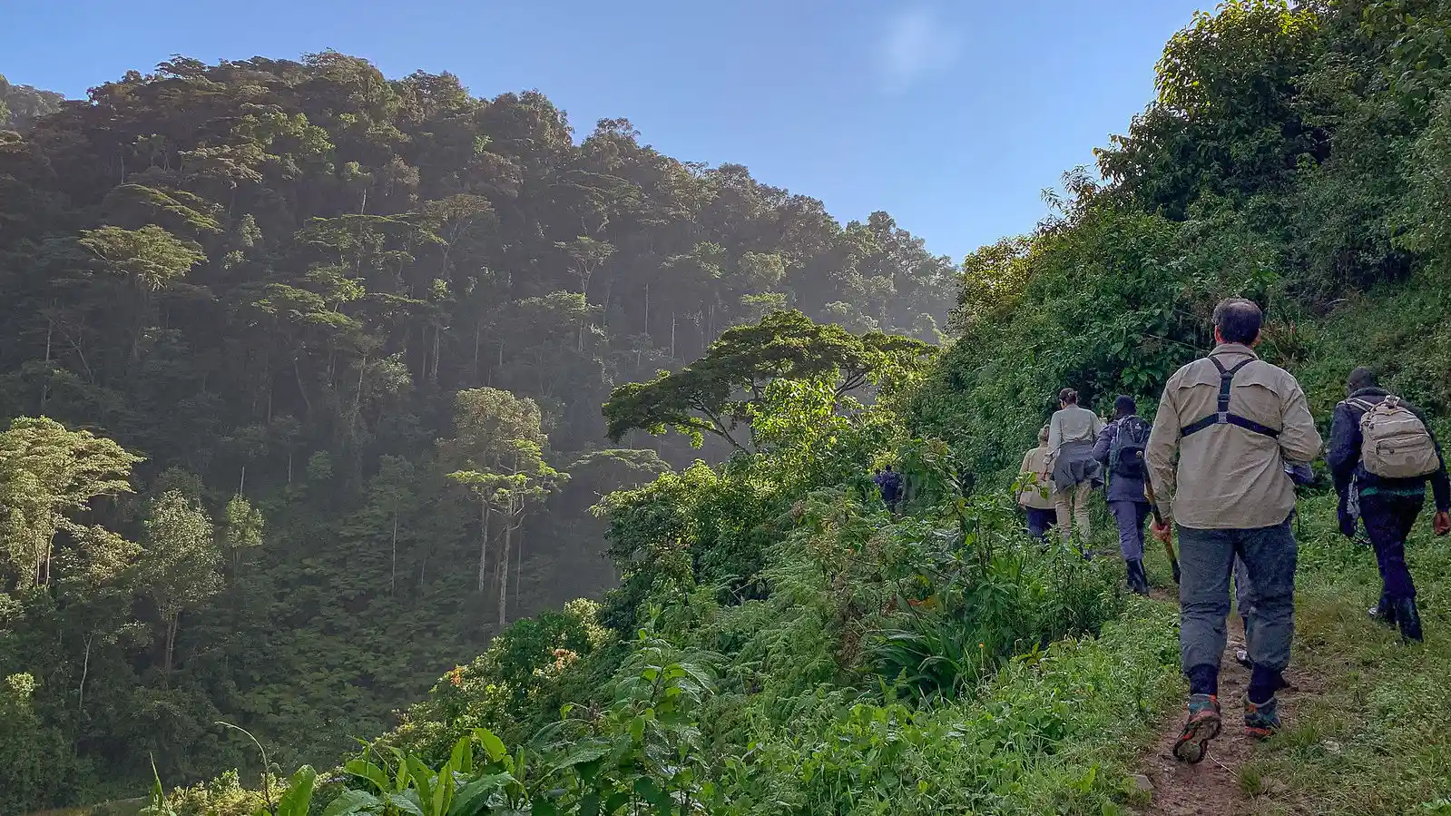 Buhoma To Nkuringo Walk