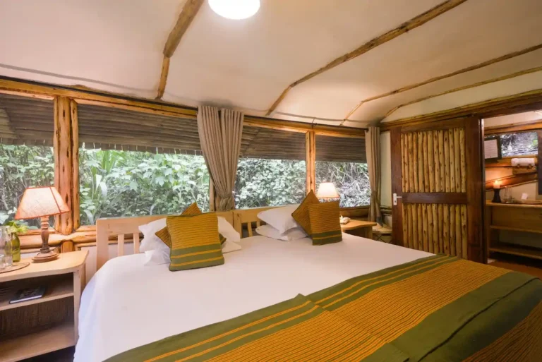 Buhoma Lodge