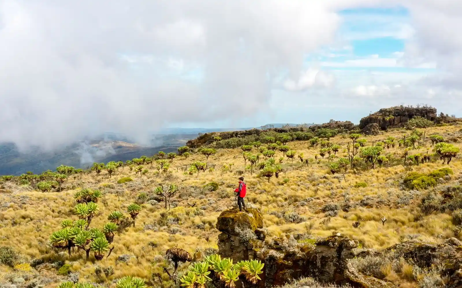 Hike-mount-elgon-oeganda.webp