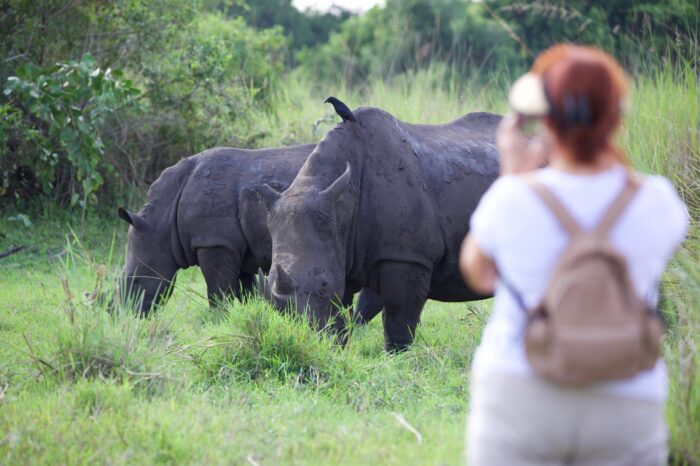 1 Day Ziwa Rhino Tracking Tour