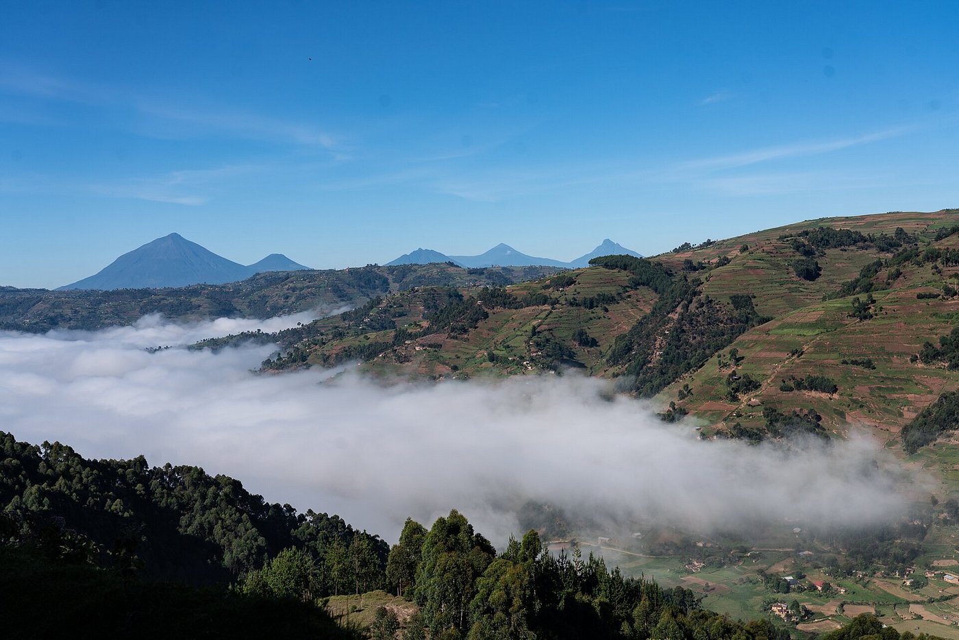 Virunga Volcanoes In Mgahinga Gorilla National Park