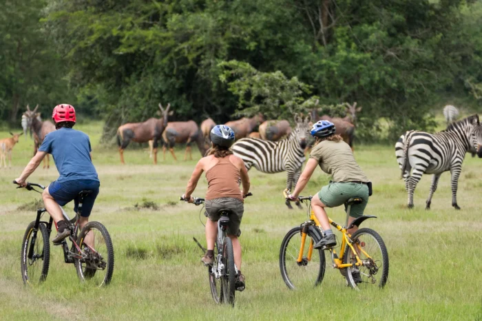 12-Day Uganda Adventure: Hiking, Trekking, Rafting & Cycling