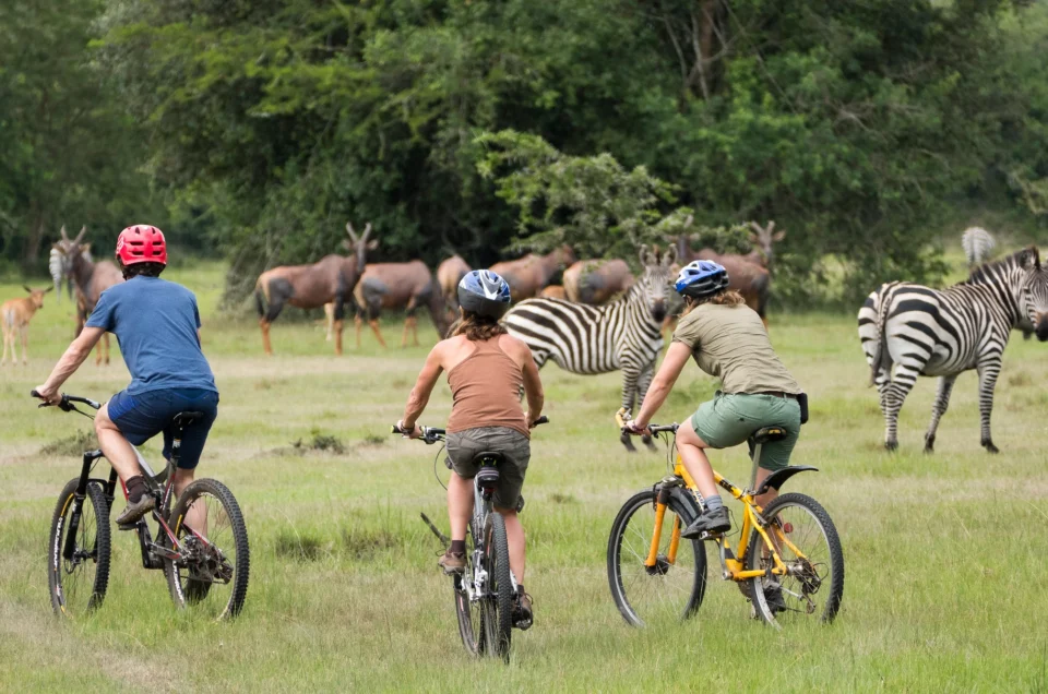 Active tours in Uganda