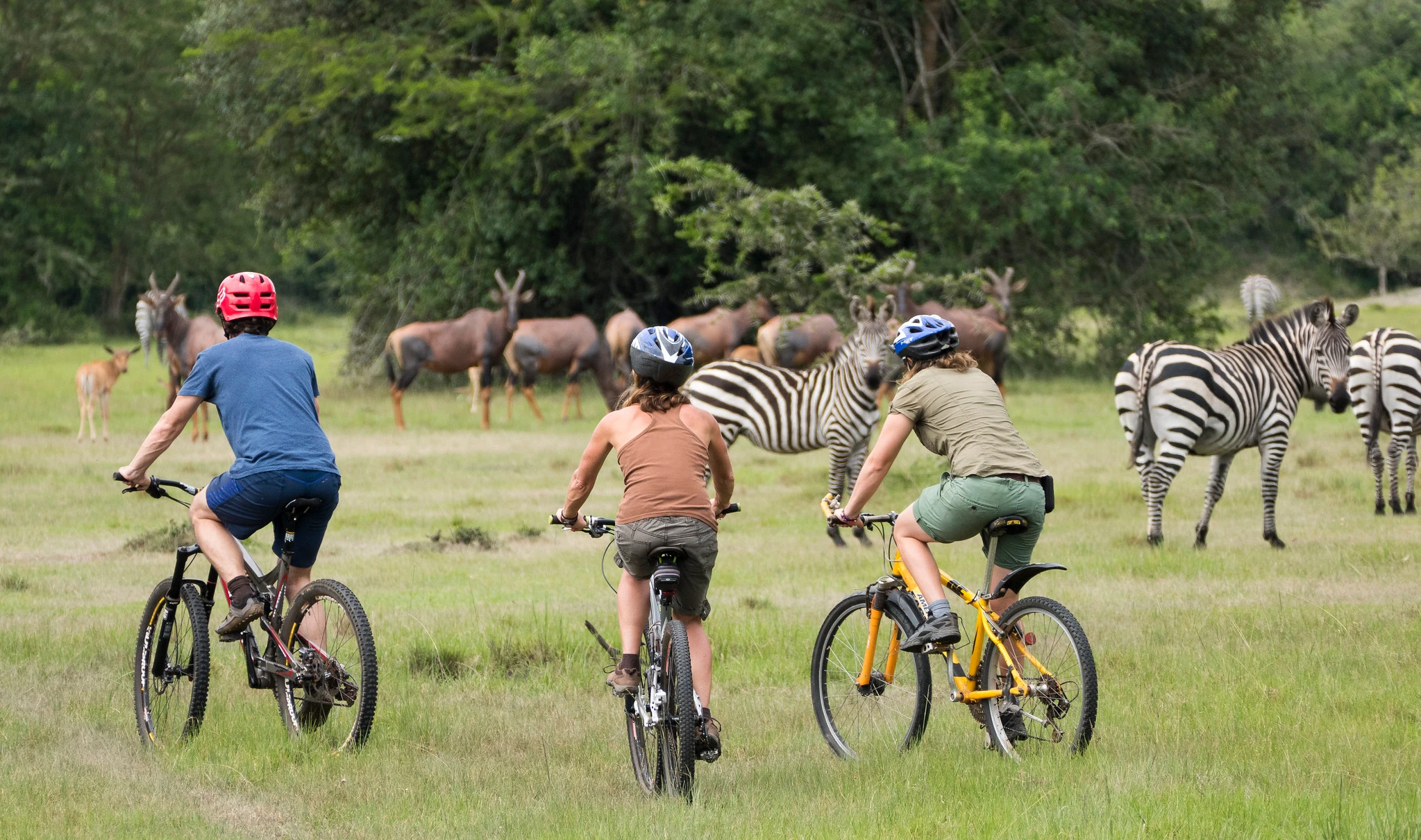 Active tours in Uganda