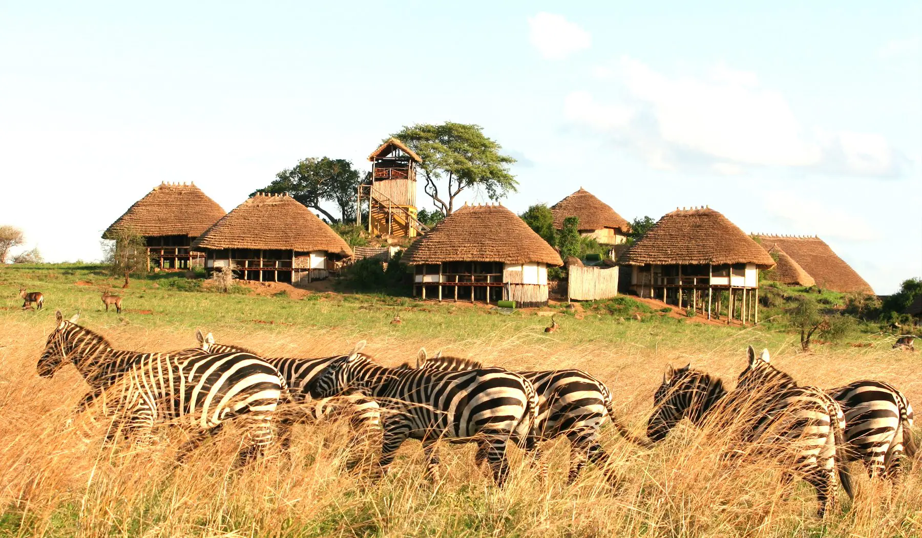 Apoka Safari Lodge.webp