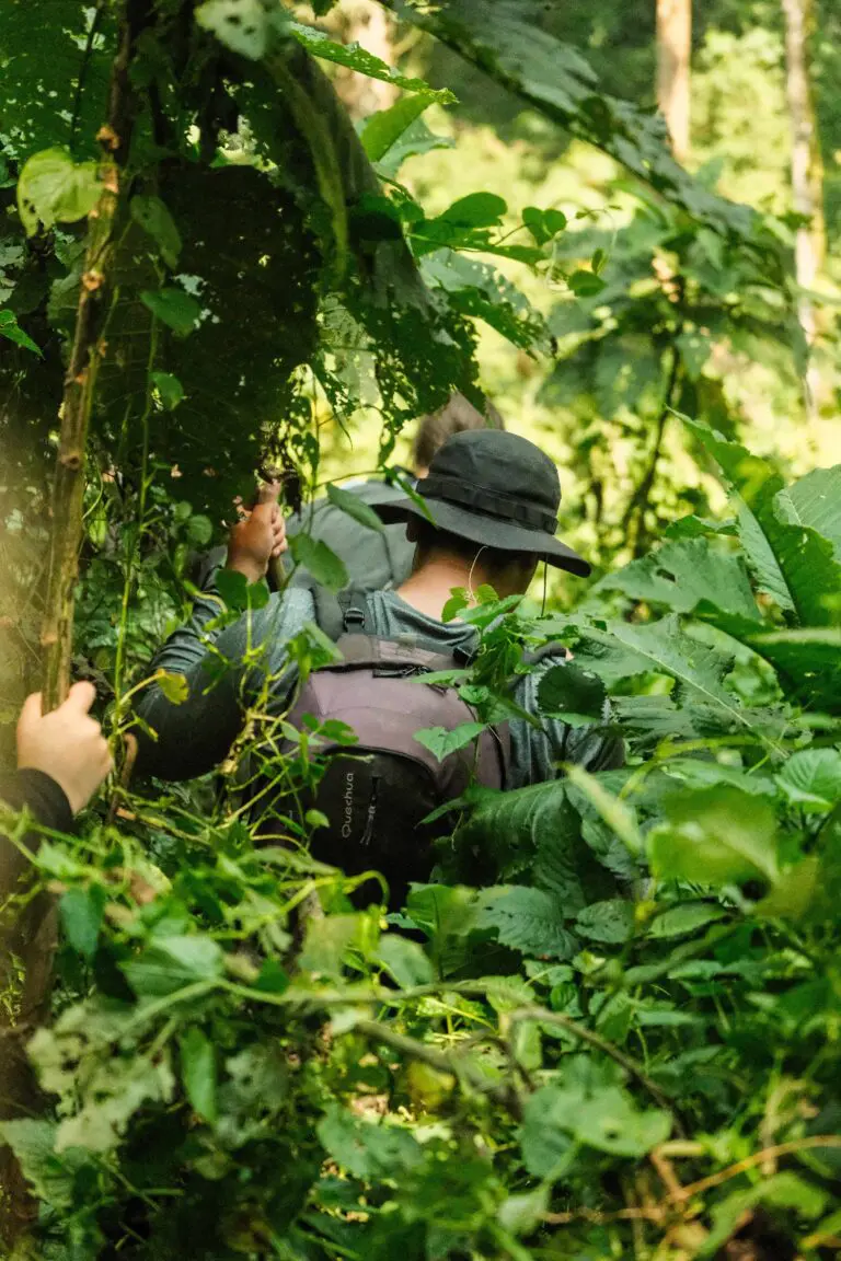 Gorilla Trekking.webp