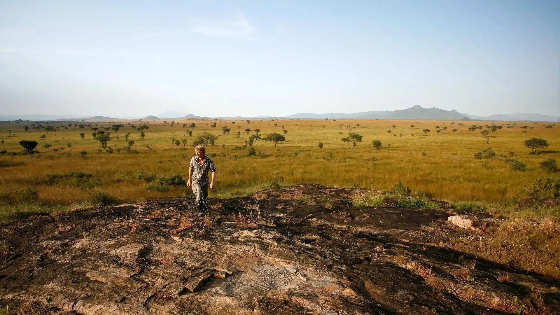 Kidepo Greatest.webp