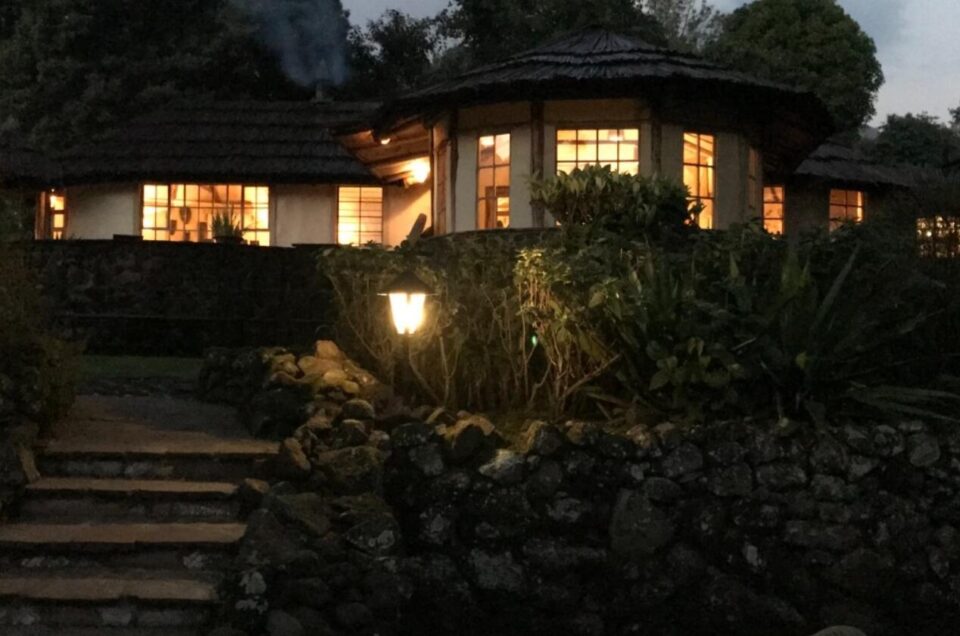 Power During a safari In Uganda