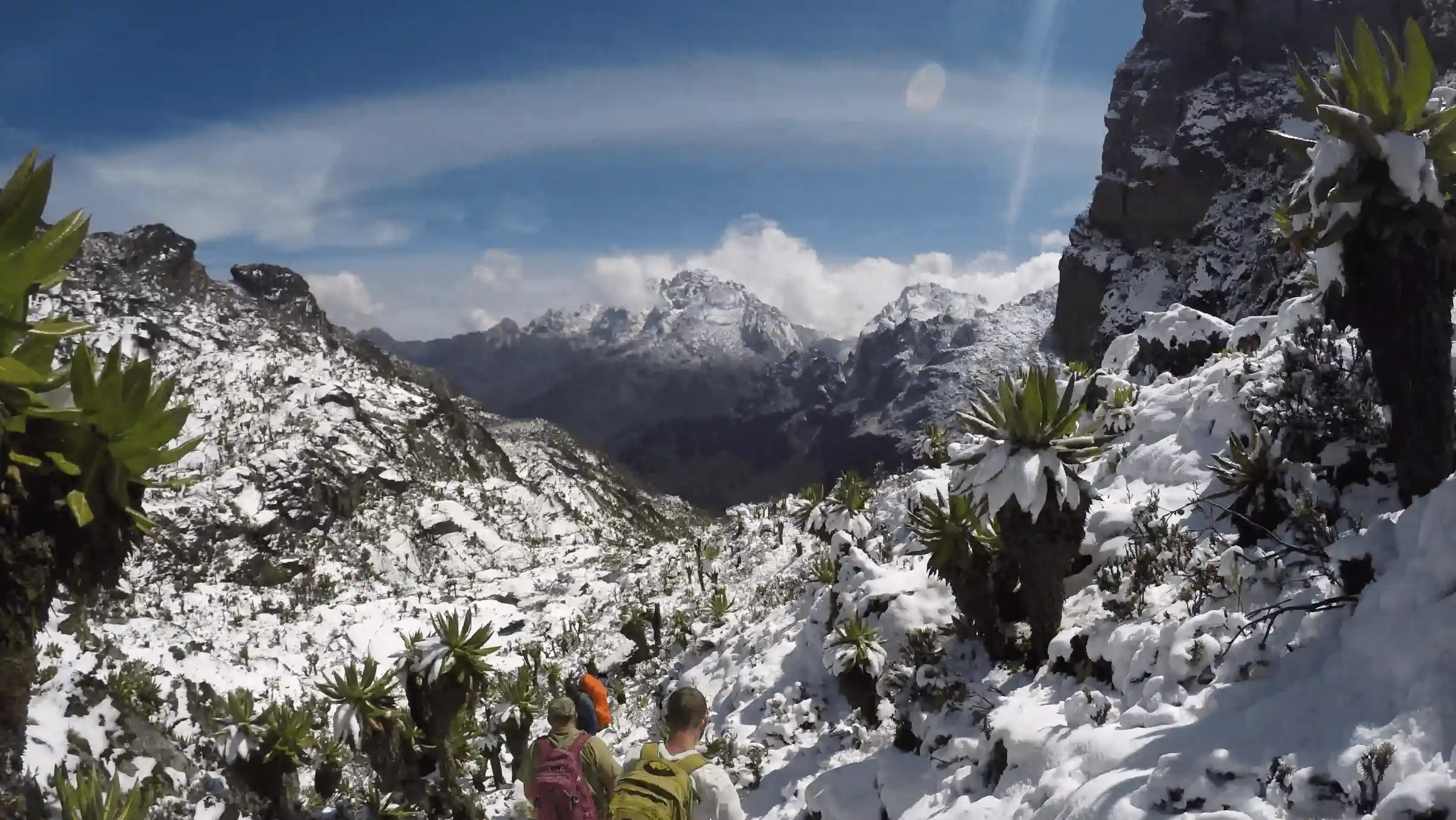 Rwenzori Mountains