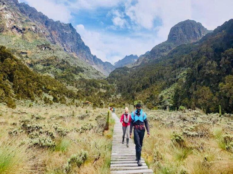 Rwenzori